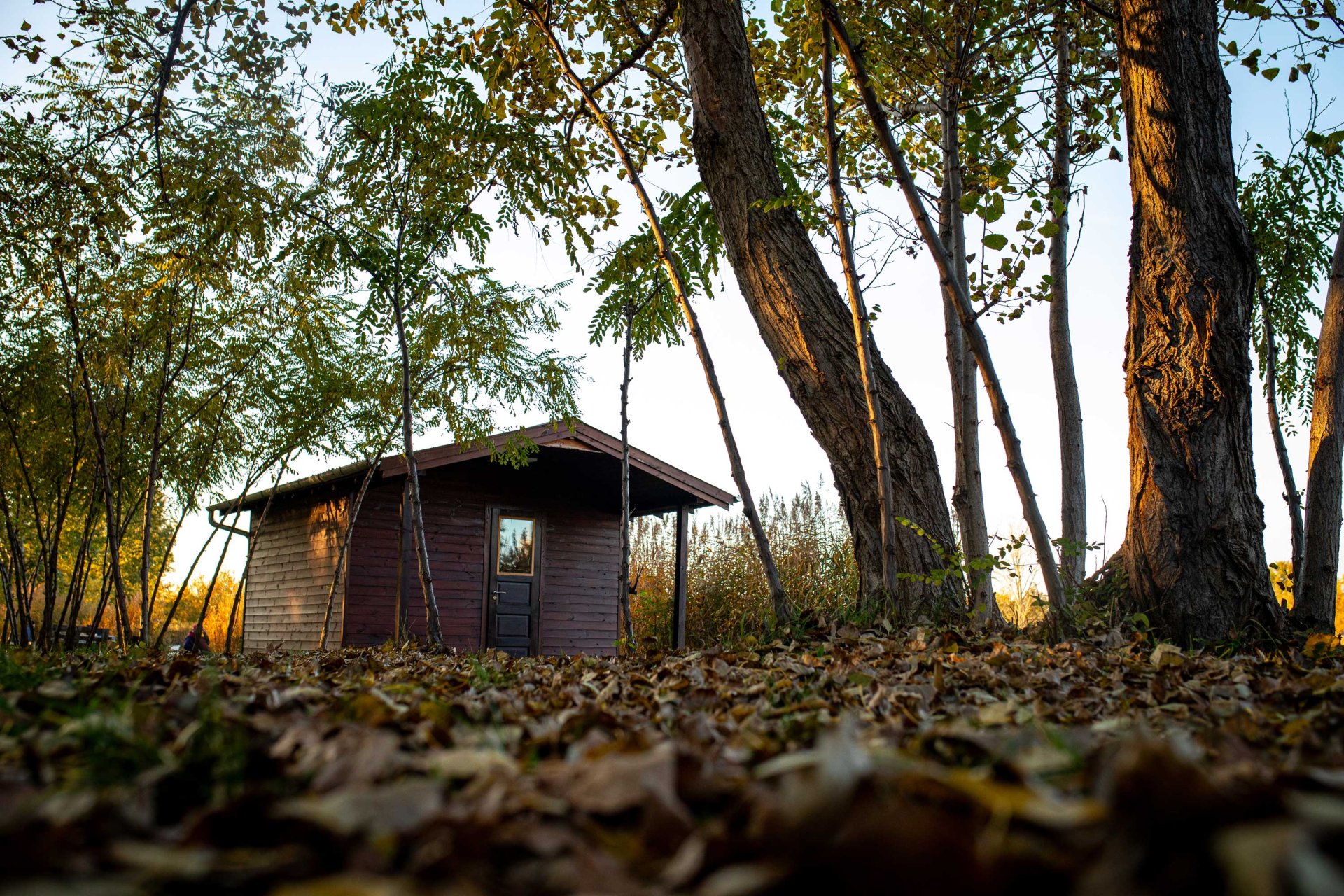 Gyáli Horgászpark - horgásztó pest megye Gyáli Horgászpark - horgásztó pest megye